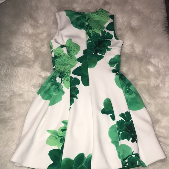 Calvin Klein Green leaves Print dress - Picture 5 of 5